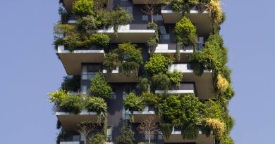 building covered in plants