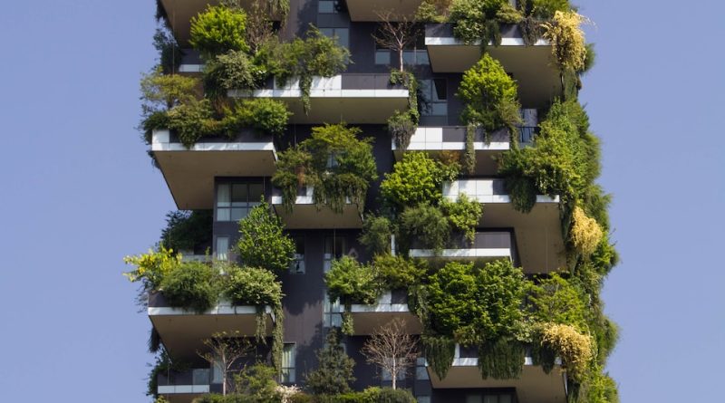 building covered in plants