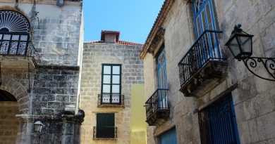 brown concrete buildings